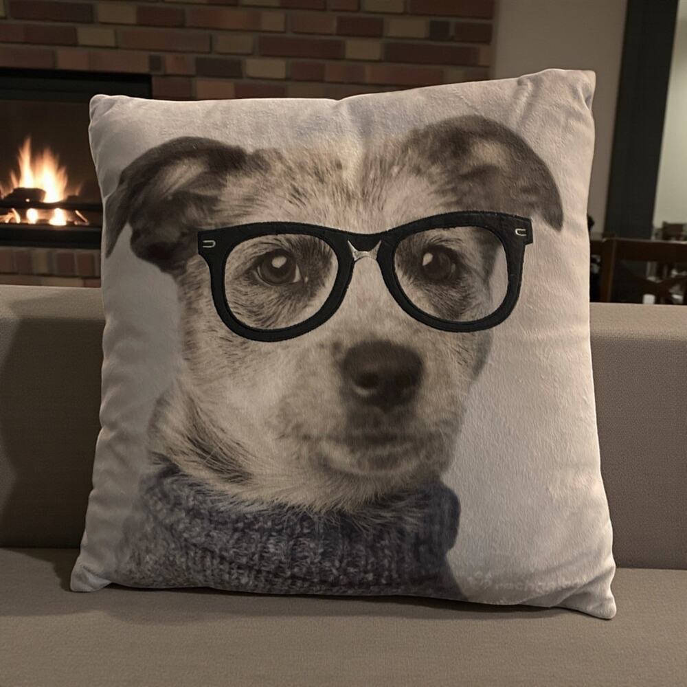 Beagle Dog Wearing Glasses Pillow 18' x 18' Throw pillow Gray Brown Mutt NEW